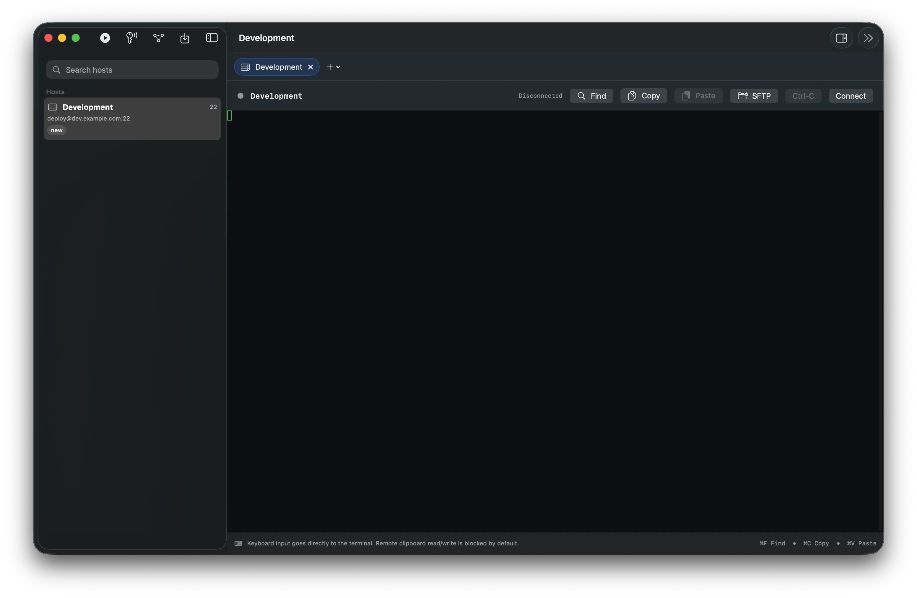 DigitdriveSSH mit einem getrennten Terminal-Tab und einem Beispielprofil Development